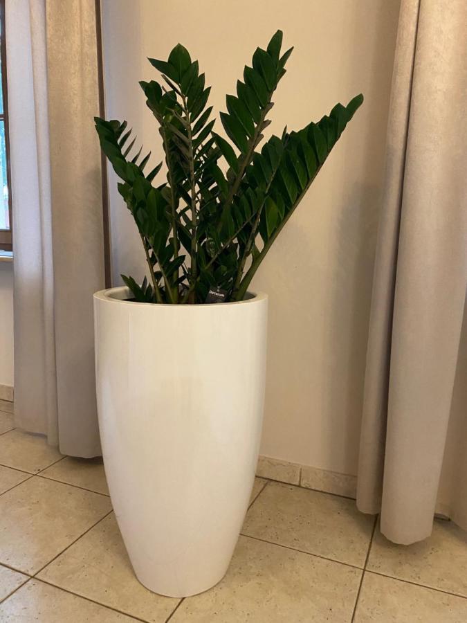 לינה וארוחת בוקר Ujście Palac Jablonowo מראה חיצוני תמונה
